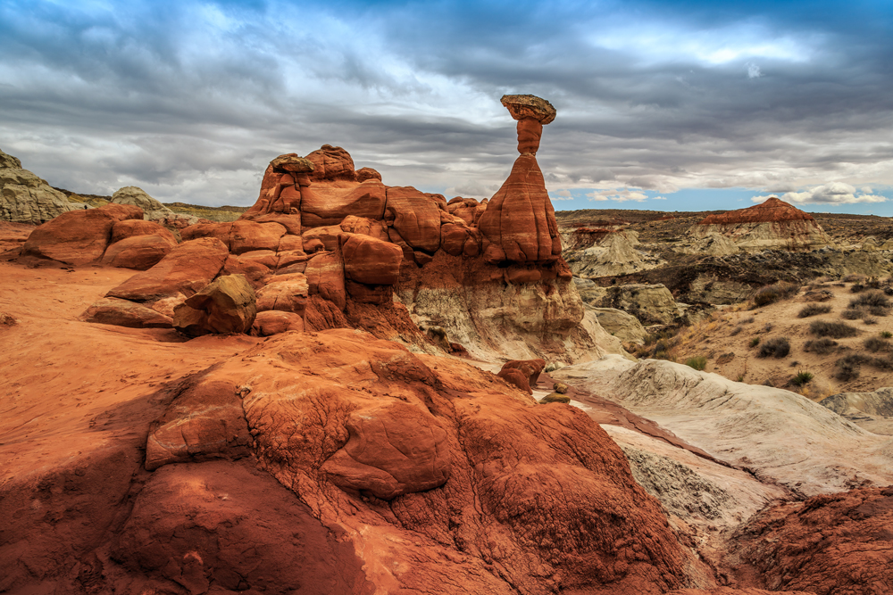 AdobeStock_366399874